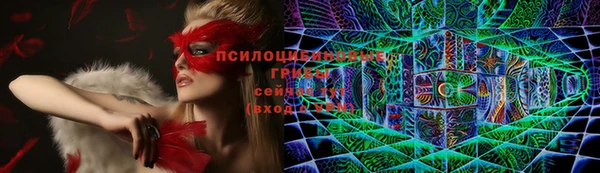 гидра Балахна